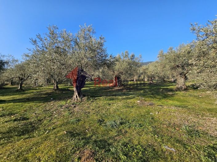 Image No.16-Property for sale