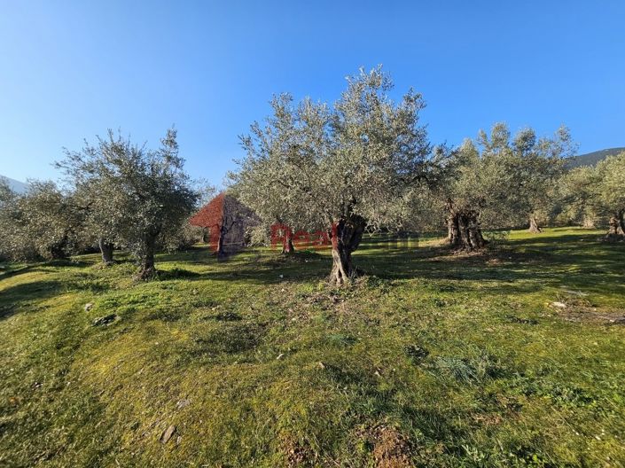 Image No.17-Property for sale