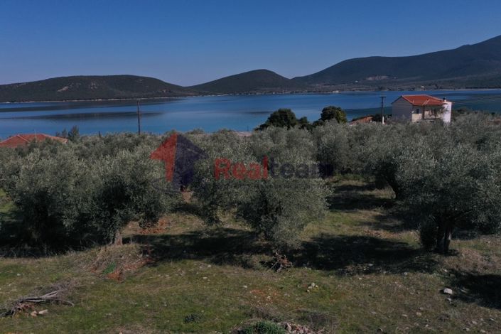 Image No.6-Property for sale