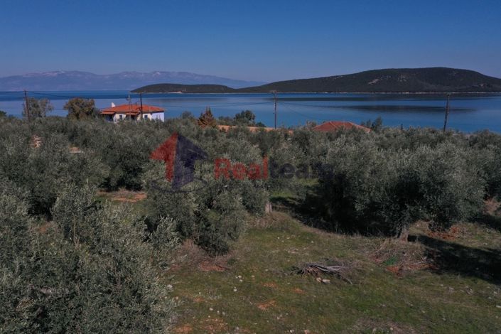 Image No.7-Property for sale