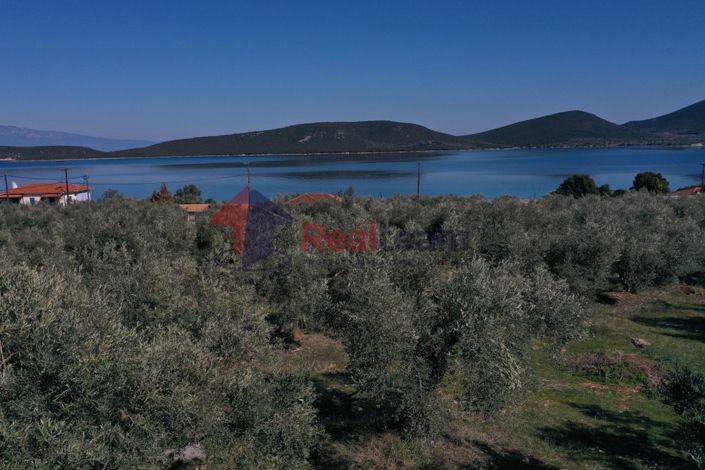 Image No.8-Property for sale