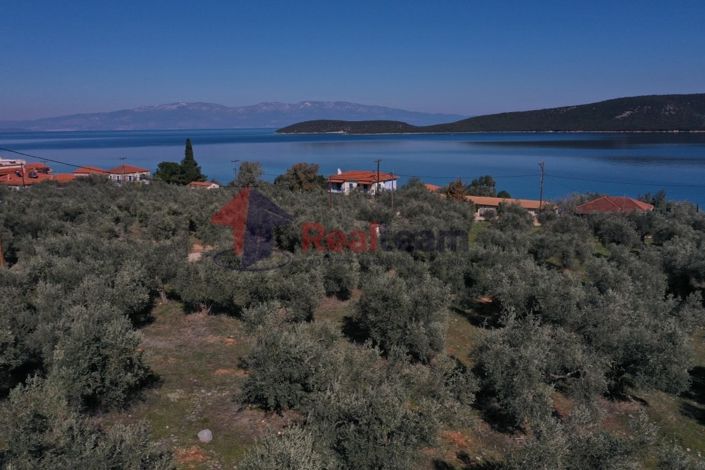 Image No.9-Property for sale