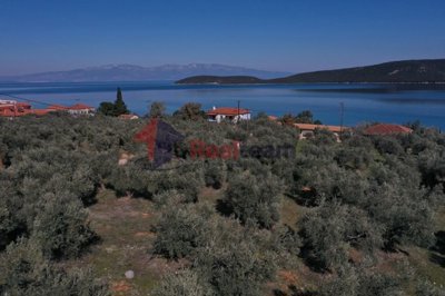 imgfe8ec70f-cb5b-4f15-9d51-2e8e0be0a8c9