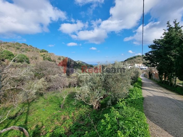 Image No.3-Propriété à vendre à Glossa