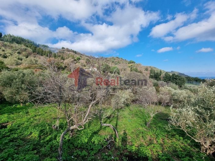 Image No.4-Propriété à vendre à Glossa