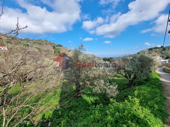 Image No.9-Propriété à vendre à Glossa