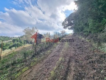 img219af086-8ef7-4718-976b-bc8fa6473b39