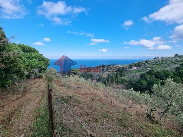 Image No.11-Propriété à vendre à Glossa