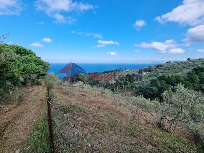 Image No.12-Propriété à vendre à Glossa