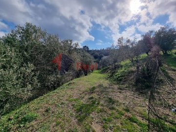 imgcac1ed9e-ab29-45f3-867d-02b150f57bd4