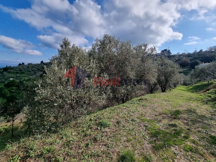 Image No.15-Propriété à vendre à Glossa