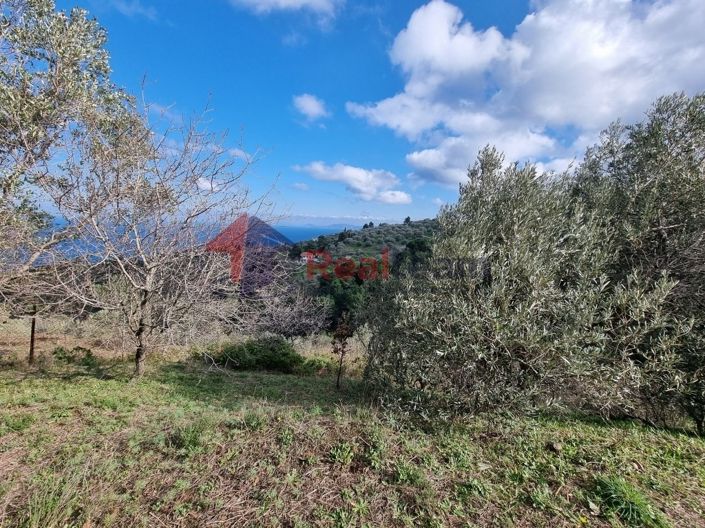 Image No.17-Propriété à vendre à Glossa