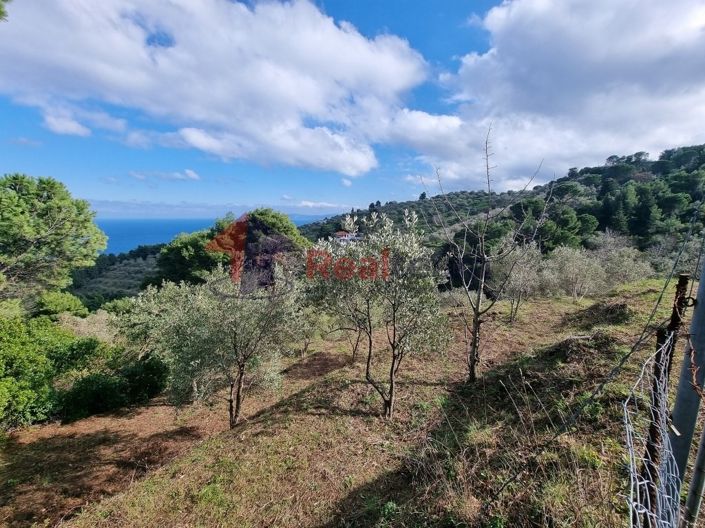 Image No.2-Propriété à vendre à Glossa