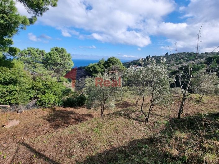 Image No.3-Propriété à vendre à Glossa