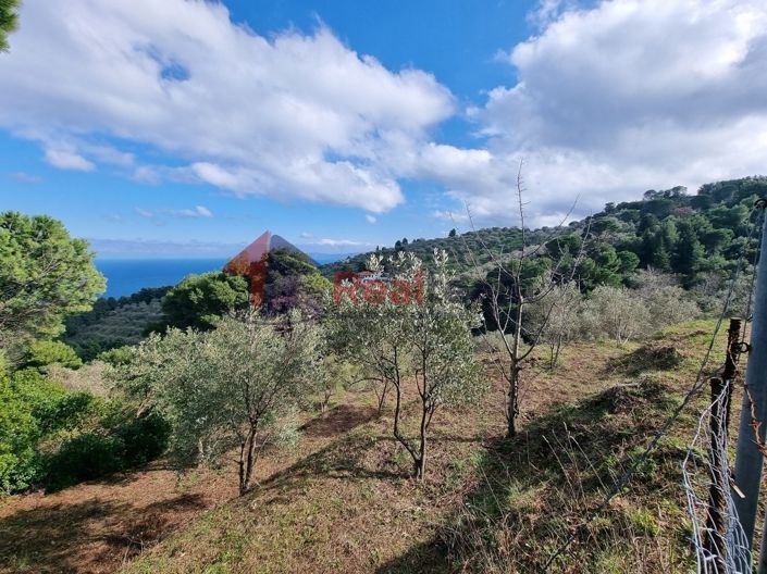 Image No.4-Propriété à vendre à Glossa