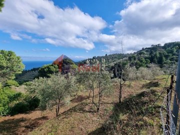 imga41530f1-28b6-411f-aa43-daa8a2ad6300