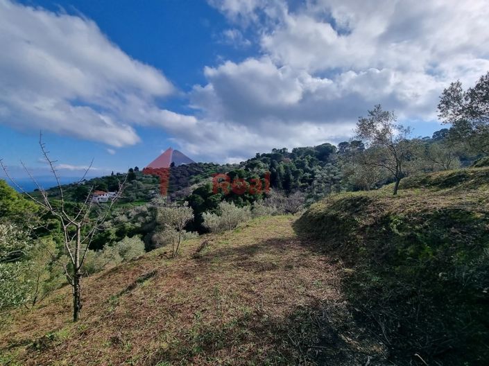 Image No.8-Propriété à vendre à Glossa