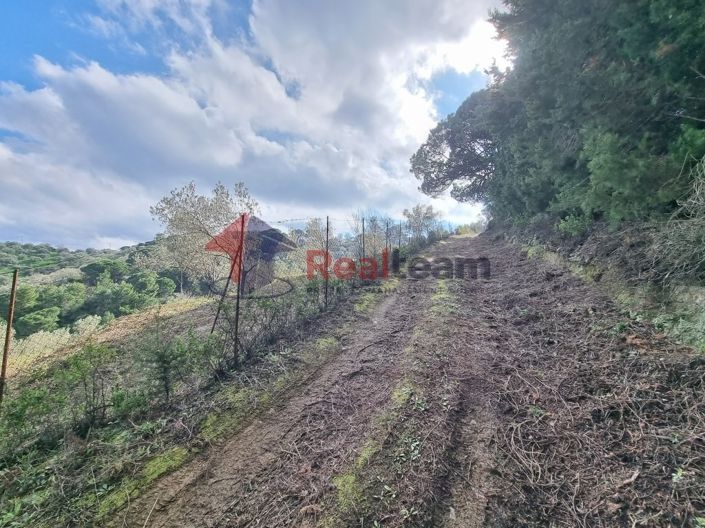 Image No.9-Propriété à vendre à Glossa