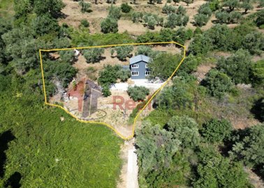 282bee3c85d949519fafcb95346c2dc6