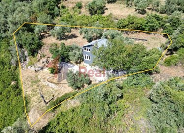 a3f8cbb55158440882f297d3ef430d83