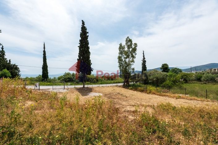 Image No.13-Property for sale