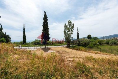 imgdcbdcb0f-0d14-4064-8d38-b7f8e6d20be8