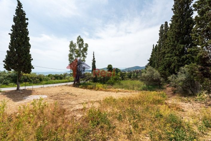 Image No.14-Property for sale