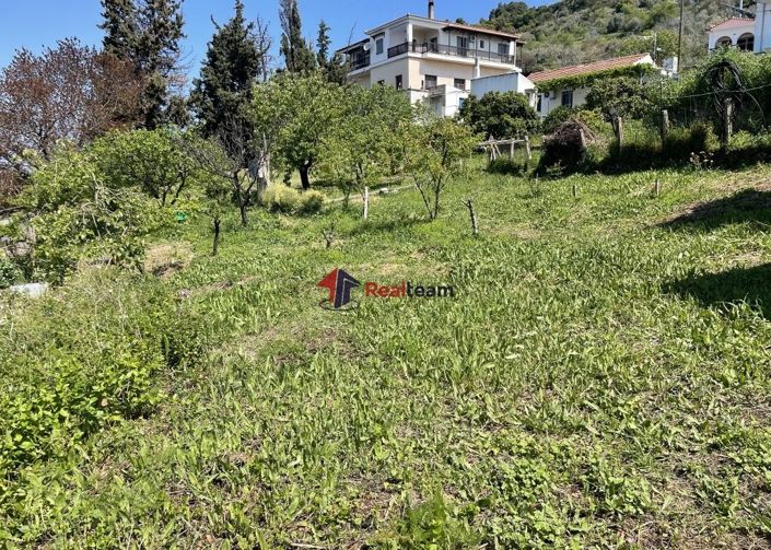 Image No.11-Property for sale