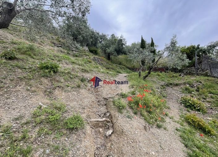 Image No.10-Propriété à vendre à Glossa