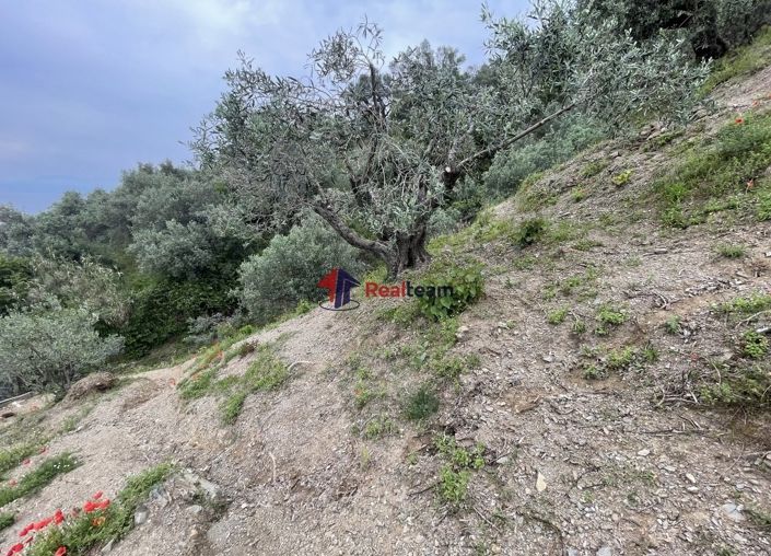 Image No.13-Propriété à vendre à Glossa