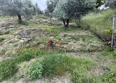 img32f4bf47-dfaa-414d-8b90-a83dd3c05dd8