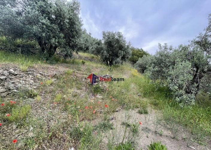 Image No.17-Propriété à vendre à Glossa