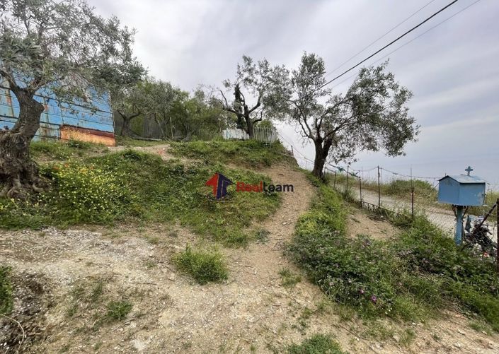 Image No.3-Propriété à vendre à Glossa