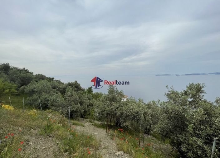 Image No.8-Propriété à vendre à Glossa