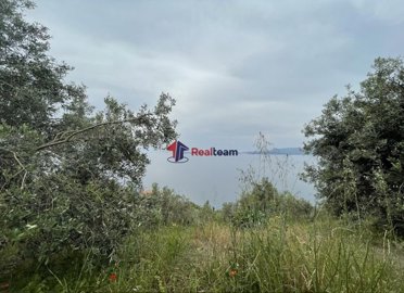 img4268e312-bc14-4ce0-90d2-37574ecf869a