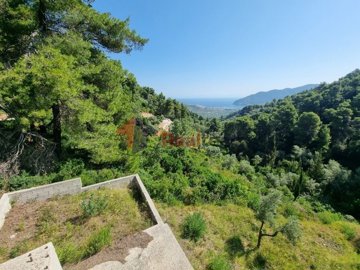 img1113f336-a4f8-4151-b1ce-947a32400804