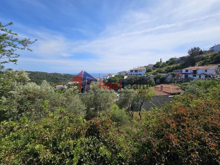 Image No.3-Property for sale