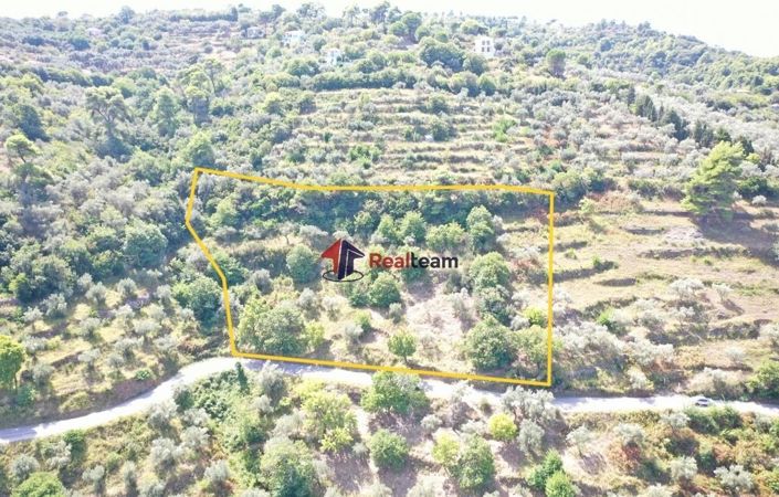 Image No.2-Property for sale