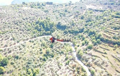 img948c01c3-ed85-48c3-a918-3a996ac09c99