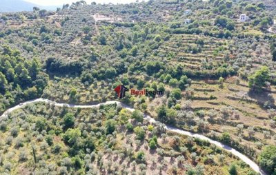 img6797d9d9-2db9-4040-8ca1-cd6bfeab1e04