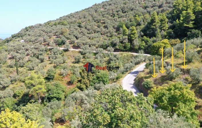 Image No.6-Property for sale