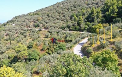 img4430d9ff-1a92-48fb-a038-ca37c3aedfd3