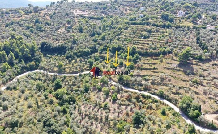 Image No.7-Property for sale