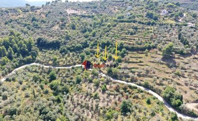 img9a183e92-ab29-462e-b1a3-73aa32f7da0f