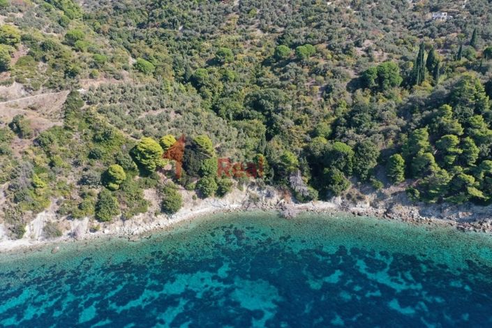 Image No.16-Propriété à vendre à Skopelos