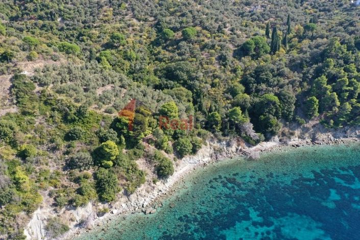 Image No.17-Propriété à vendre à Skopelos