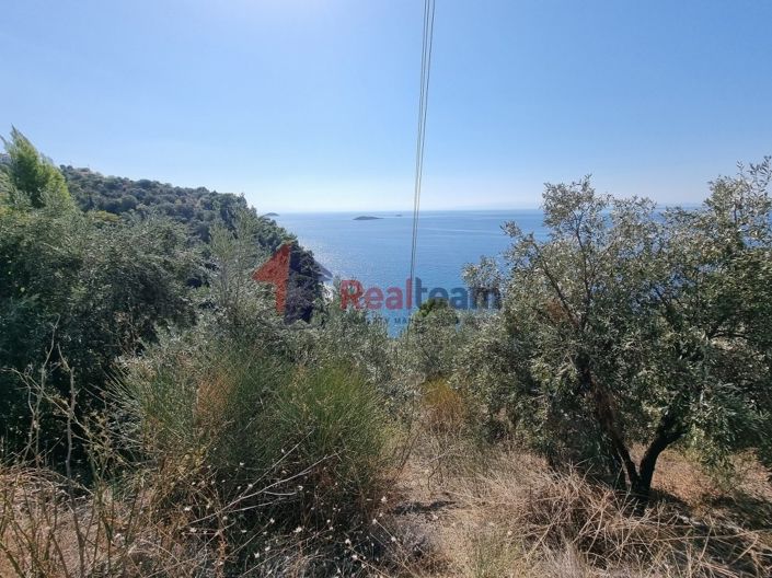 Image No.3-Propriété à vendre à Skopelos