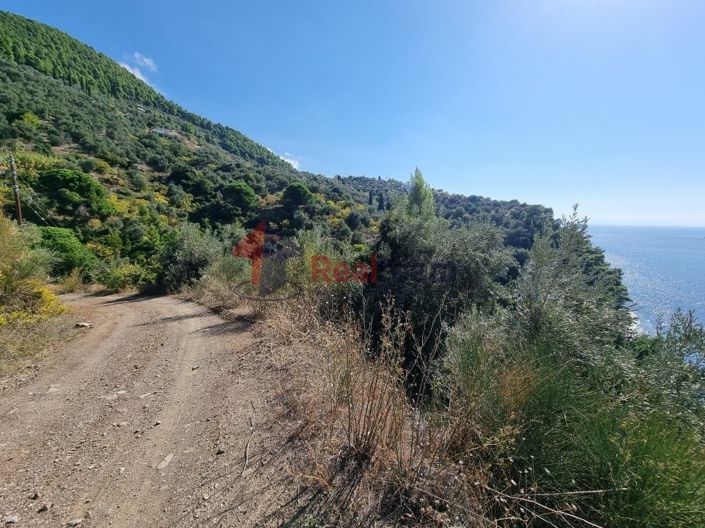 Image No.5-Propriété à vendre à Skopelos