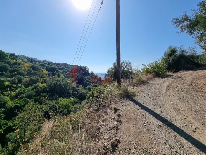 Image No.6-Propriété à vendre à Skopelos