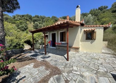 imgcd0ba16c-6bd1-4144-af57-9087caaa0b19